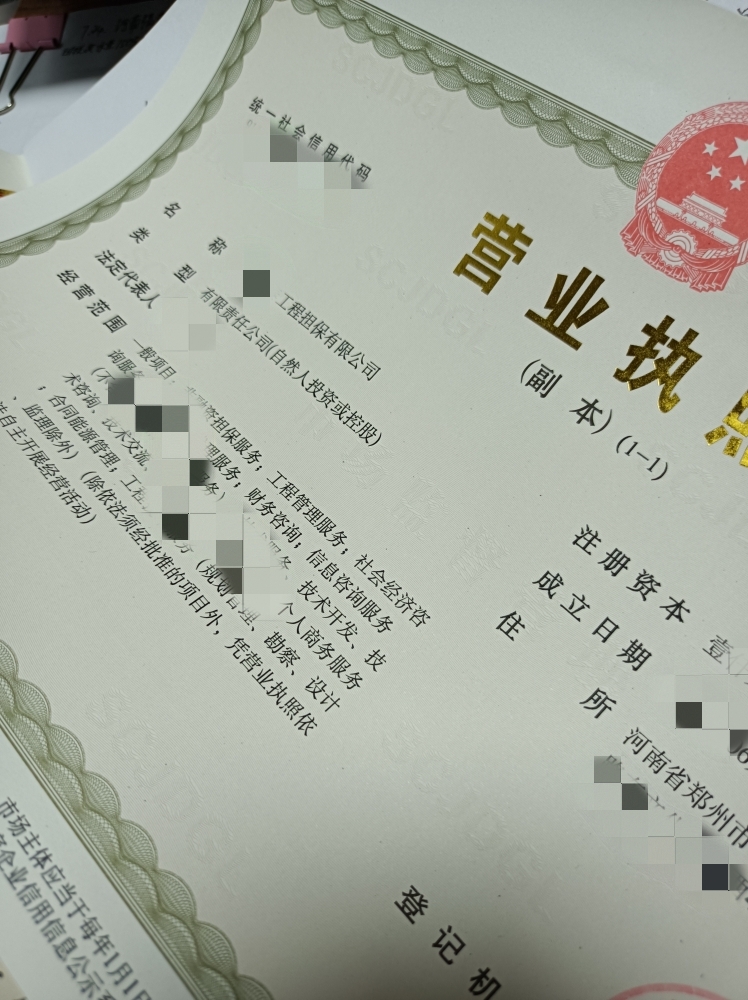 代办郑州工程担保公司注册金融服务公司注册