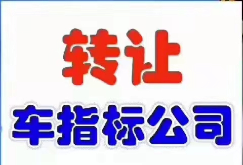 代理海南车指标新设立