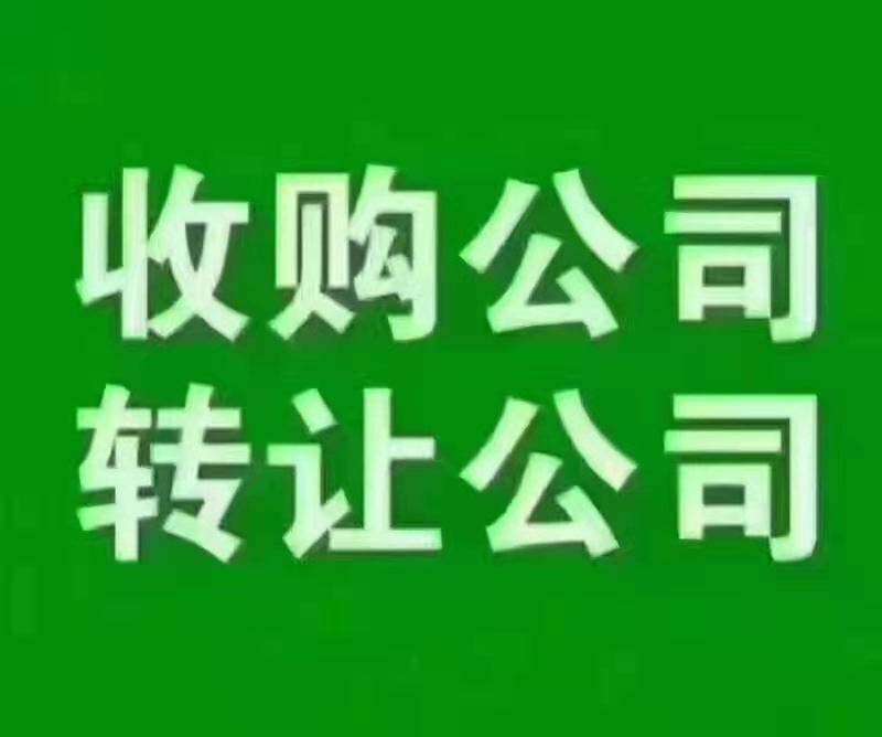 专注为客户提供工商服务 财务代理