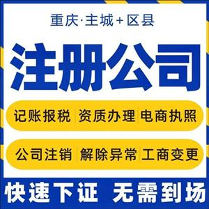 重庆南岸区代办注册公司营业执照 公司注销代办