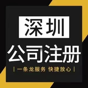 注册公司 办理业务