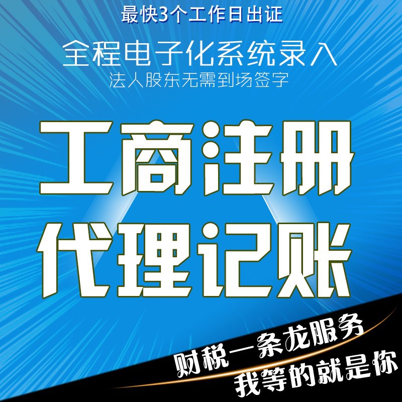 代办注册、记账、续期、年检审计、转让注销等业务