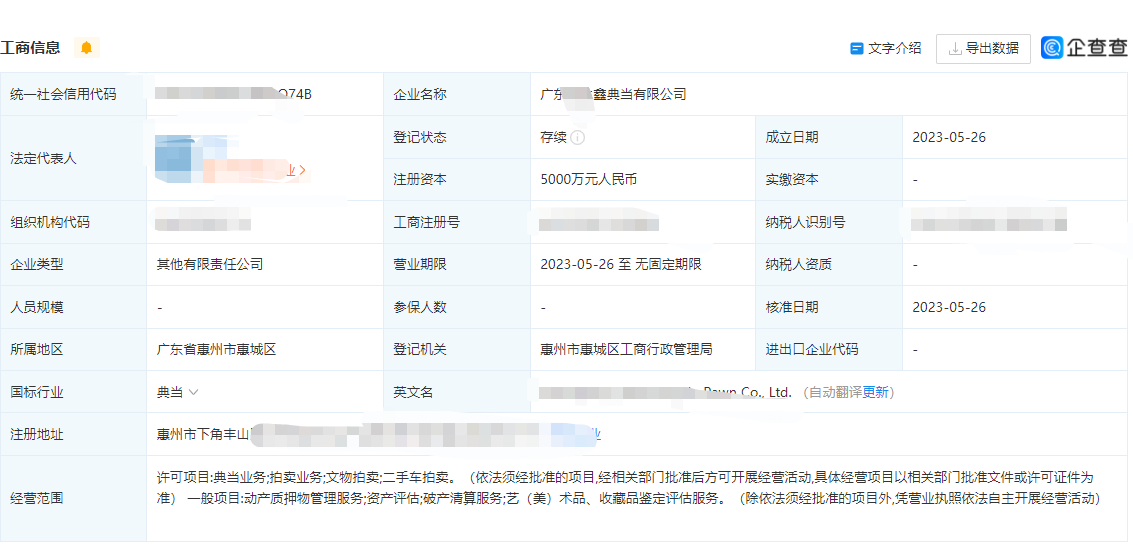 代办注册典当行有限公司